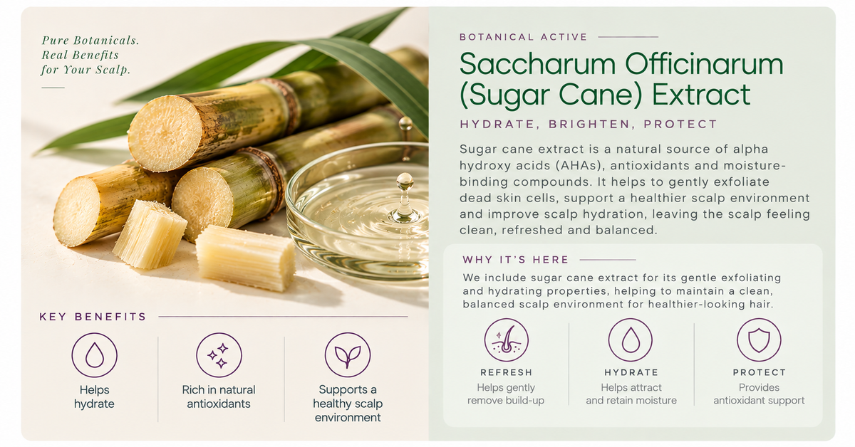 15 HAIR & SCALP ACTIVES.