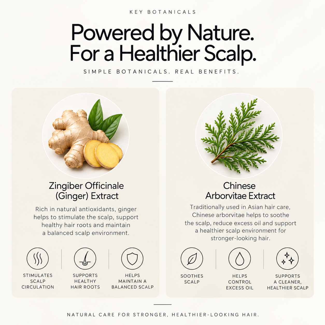 Ginger Scalp Care Shampoo